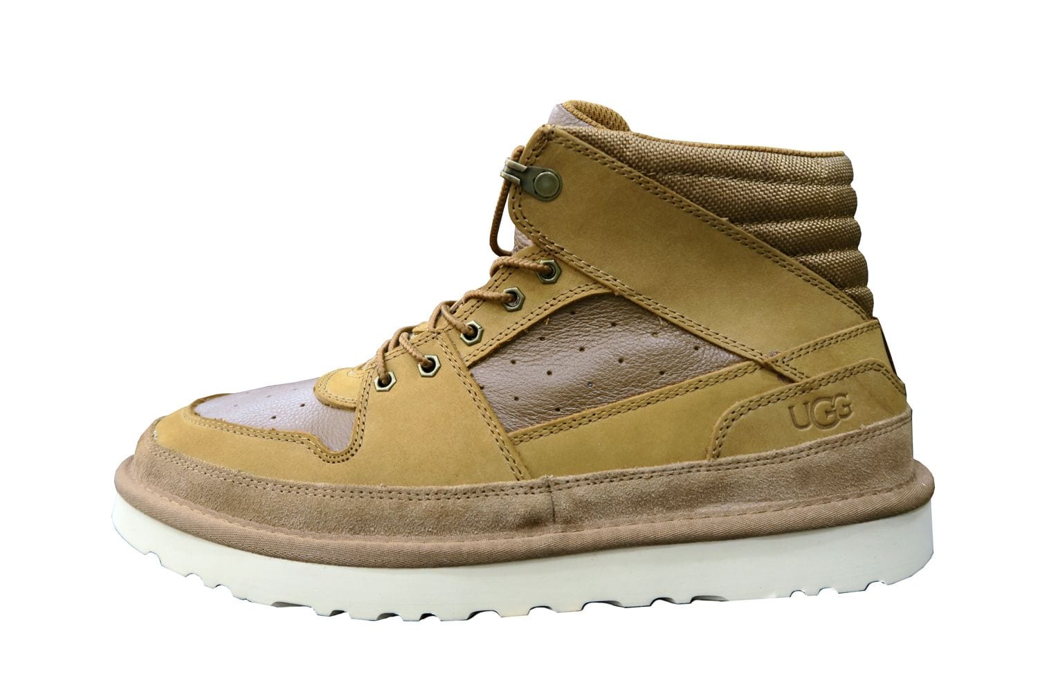 Highland Sport Chestnut