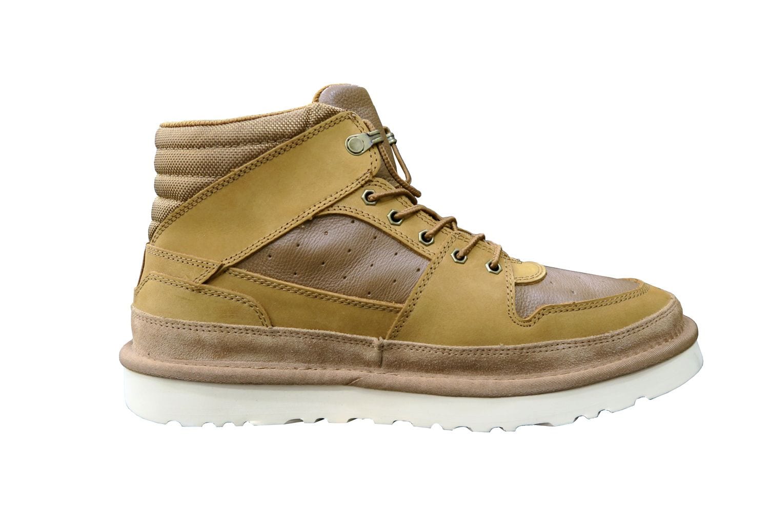 Highland Sport Chestnut
