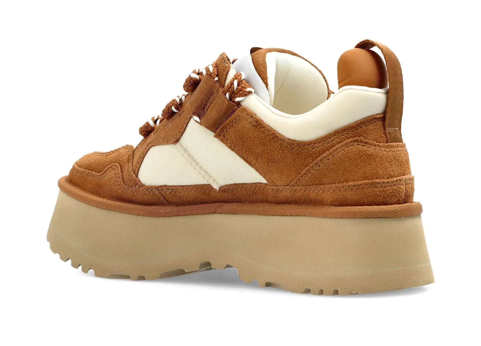 Astromel Chestnut